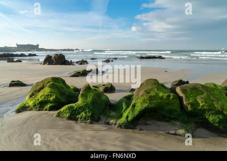 Strand am Küste des Atlantischen Ozean nahe Queijo Burg am Morgen, Porto, Portugal Stockfoto