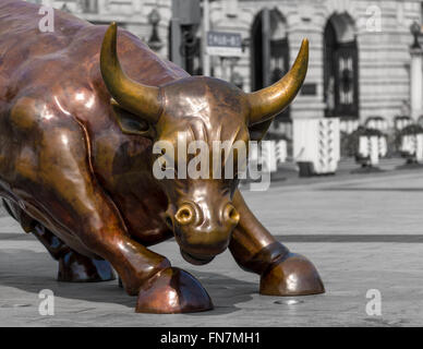 Bull auf den Bund Stockfoto