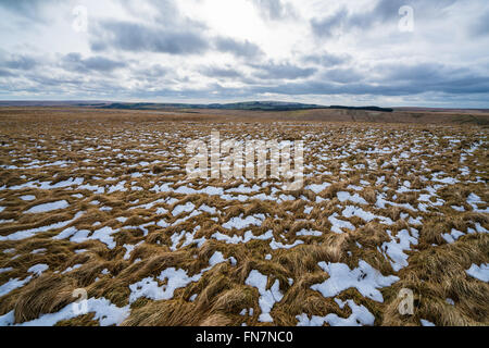 Blick über Schnee bedeckt Felder in Dartmoor. Stockfoto