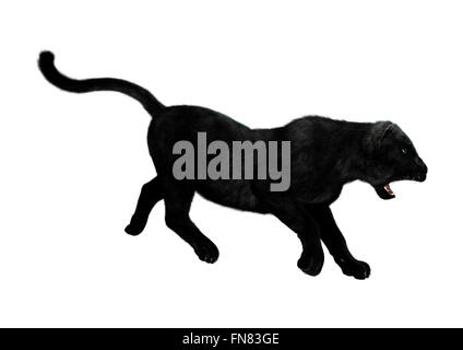 Digitalen Rendern einer Raubkatze schwarze Panther Jagd isoliert auf weißem Hintergrund Stockfoto