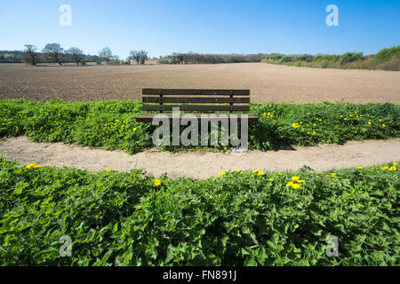 Eine leere einzelne Holzbank auf einen staubigen, trockenen Weg auf dem Lande. Stockfoto