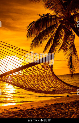 Hängematte auf einer Palme im Sonnenuntergang auf tropischen Fidschi-Inseln Stockfoto