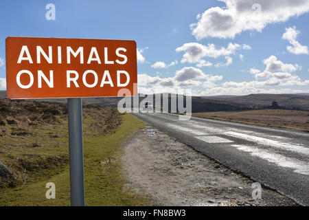 Schild Warnung der Tiere auf der Straße, mit Schafen und Auto hinter. Dartmoor National Park, Devon, England Stockfoto