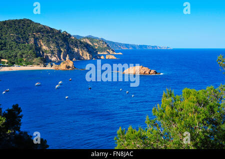 Luftbild der Küste von Tossa de Mar an der Costa Brava, Spanien, mit dem Mar Menuda Strand auf der linken Seite und der Illa Insel ich Stockfoto