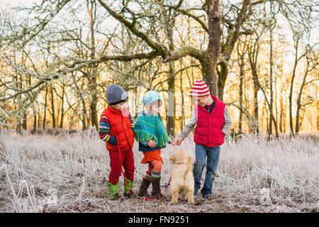 Drei Kinder spielen mit einem golden Retriever Welpe Hund im Wald Stockfoto