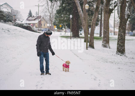 Mitte erwachsenen Mann zu Fuß einen golden Retriever Welpe Hund Stockfoto