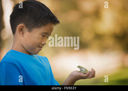 Ein Junge hält einen Frosch in der Handfläche der Hand. Stockfoto