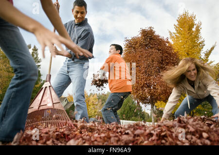 Menschen in einem Garten Harken Laub in Stapeln, und warf sie in die Luft. Stockfoto