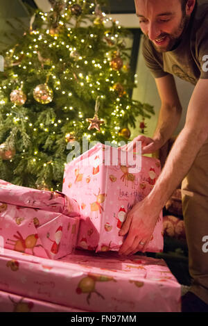 Ein Mann Stapeln verpackt Geschenke unter dem Weihnachtsbaum. Stockfoto