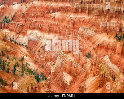 Canyon landet in Cedar Breaks National Monument, Utah Stockfoto