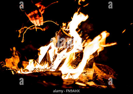 Nahaufnahme der Hände Lagerfeuer Zweige aufsetzen Stockfoto