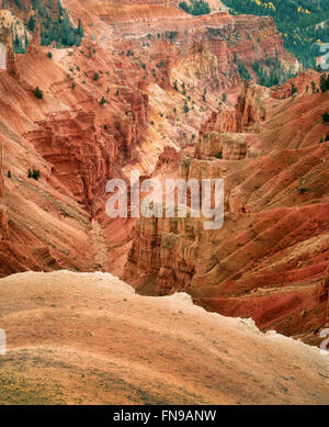 Canyon landet in Cedar Breaks National Monument, Utah Stockfoto