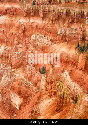 Canyon landet in Cedar Breaks National Monument, Utah Stockfoto