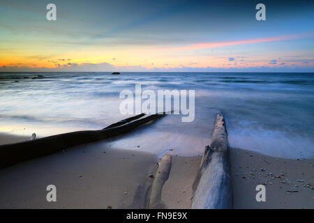 Treibholz am Strand bei Sonnenuntergang, Sabah, Borneo, Malaysia Stockfoto