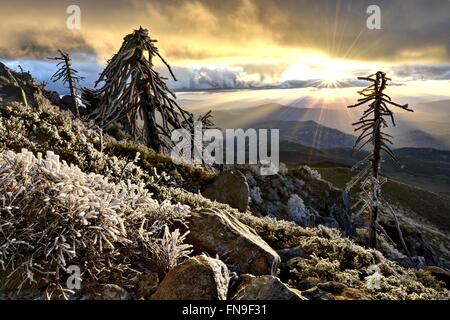 Cuyamaca Rancho State Park bei Sonnenuntergang, Kalifornien, USA Stockfoto