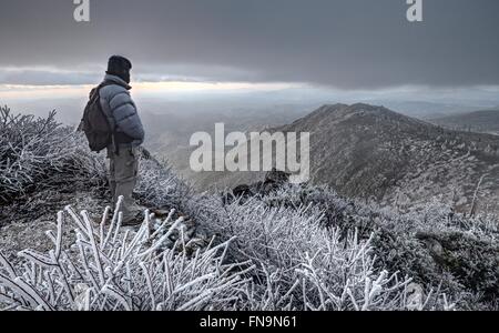 Mann steht am cuyamaca Gipfel, Cleveland National Forest, Kalifornien, USA Stockfoto