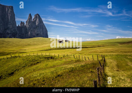 Die idyllischen Wiesen von der Alpe di Siusi. Im Hintergrund der Schlern (Dolomiten, Italien) Stockfoto