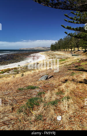 Küstenlandschaft am Gulf St. Vincent südlich von Adelaide, South Australia, Australien. Stockfoto