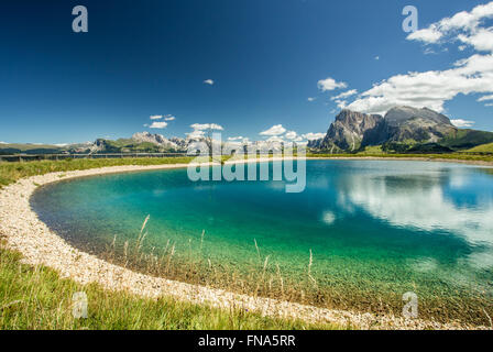 Alpe di Siusi (Dolomiti) Stockfoto
