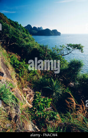 Blick auf Klippen und Adaman Meer, Ko Phi Phi Island, Thailand Stockfoto