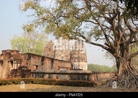 Eine tausend Jahre alte Baum, Wat Si Sawai Tempel Sukhothai Historical Park, Sukhothai, Thailand Stockfoto