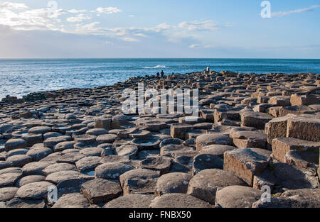 Giants Causeway. Einzigartige natürliche geologische Formation aus sechseckigen vulkanischen Basaltfelsen und Steinen auf die Küste von Antrim County Stockfoto