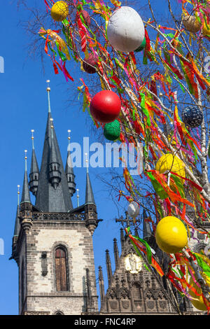 Osterbaum dekoriert mit farbigen Eiern auf dem Prager Altstädter Platz Prag Tschechische Republik Europa Osterwelt Europa Stockfoto