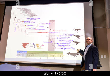 Washington, DC, USA. 14. März 2016. Hans Sues, Vorsitzender der Abteilung Paläobiologie an des Smithsonian National Museum of Natural History, spricht über die sich entwickelnde Geschichte der Dinosaurier auf einer Pressekonferenz in Washington, DC, USA, 14. März 2016. Wissenschaftler sagte am Montag die versteinerten Überreste eines neuen Pferd mittlere Dinosauriers, die aufgedeckt haben entdeckt wie Tyrannosaurus Rex (T. Rex) wurde zu einem der Top-Räuber der Erde vor etwa 70 bis 80 Millionen Jahren. Bildnachweis: Yin Bogu/Xinhua/Alamy Live-Nachrichten Stockfoto