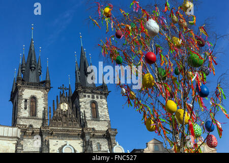 Prag Ostern Baum mit gefärbten Eiern auf dem Altstädter Ring in der Osterzeit Märkte, Prag, Tschechische Republik eingerichtet Stockfoto