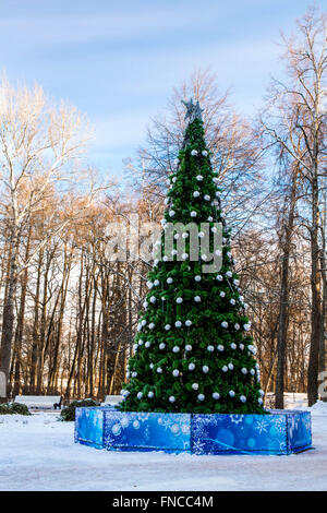 Weihnachtsbaum im Park Stockfoto