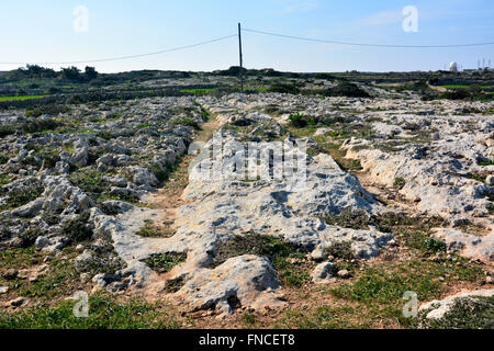 Wagenspuren in Malta Stockfoto