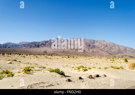 Kleine Dünen, Felsen und grüne Vegetation mit braunen kargen Bergen im Hintergrund unter blauem Himmel. Stockfoto