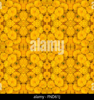 Ringelblume Musterdesign Hintergrund Stockfoto