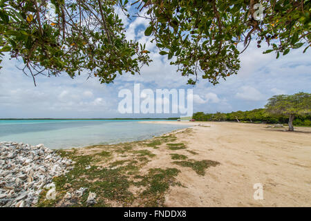 Lac Cai ist der Ort für Bonaire Fischer, der im Wasser mit Booten dort, seine besticht durch die Berge von Muscheln Stockfoto