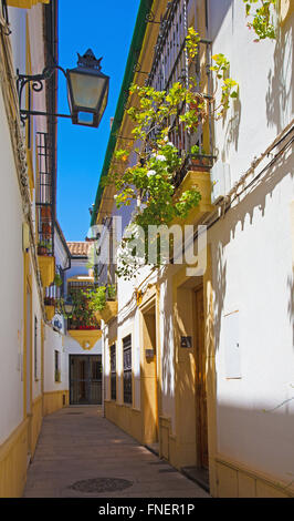 Cordoba - den Gang in der Mitte der Altstadt in der Nähe der Kathedrale. Stockfoto