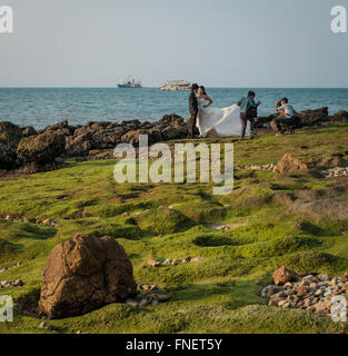 Einmal pro Jahr Algen auf Felsen in Pattaya Thailand Stockfoto