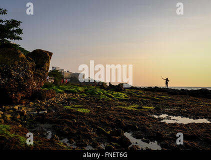 Einmal pro Jahr Algen auf Felsen in Pattaya Thailand Stockfoto