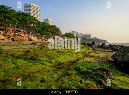 Einmal pro Jahr Algen auf Felsen in Pattaya Thailand Stockfoto