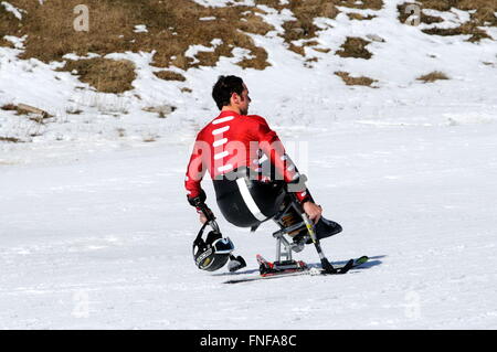 Behinderte Skifahrer Stockfoto
