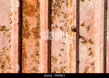 alten Wellblech Stockfoto