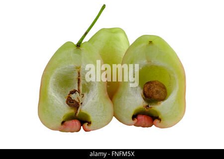 Rose Apfelfrucht Thailand Stockfoto