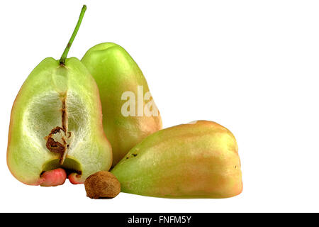 Rose Apfelfrucht Thailand Stockfoto