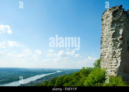 Deutschland, Königswinter, Drachenfels, Burgruine Burg Drachenfels, Blick Auf Den Rhein Nach Bonn Stockfoto