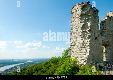 Deutschland, Königswinter, Drachenfels, Burgruine Burg Drachenfels, Blick Auf Den Rhein Nach Bonn Stockfoto