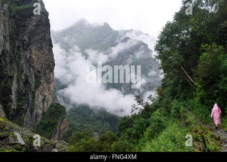 Tal der Blumen-Nationalpark ist eine indische Nationalpark liegt im West-Himalaya, im Bundesstaat Uttarakhand Stockfoto