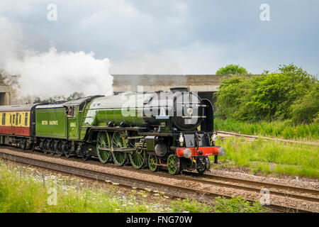 60163 Tornado Dampfzug Stockfoto