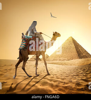 Beduinen und Vogel in der Nähe von Pyramiden in Wüste Stockfoto