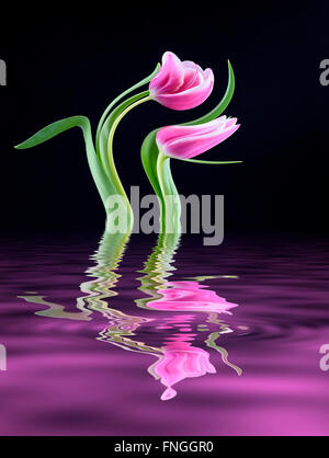 Digital manipulierte Bild eines Paares von rosa Tulpen in einer Lache des Wassers reflektiert Stockfoto