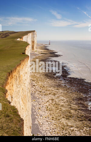 Die Klippen und den Leuchtturm am Beachy Head an der Südküste von England. Stockfoto