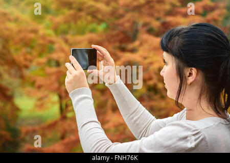 Frau mit Handy im Herbst Park fotografieren Stockfoto